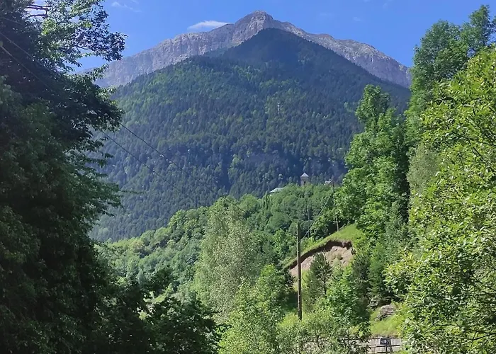 Casa de hóspedes Los Valles Bielsa